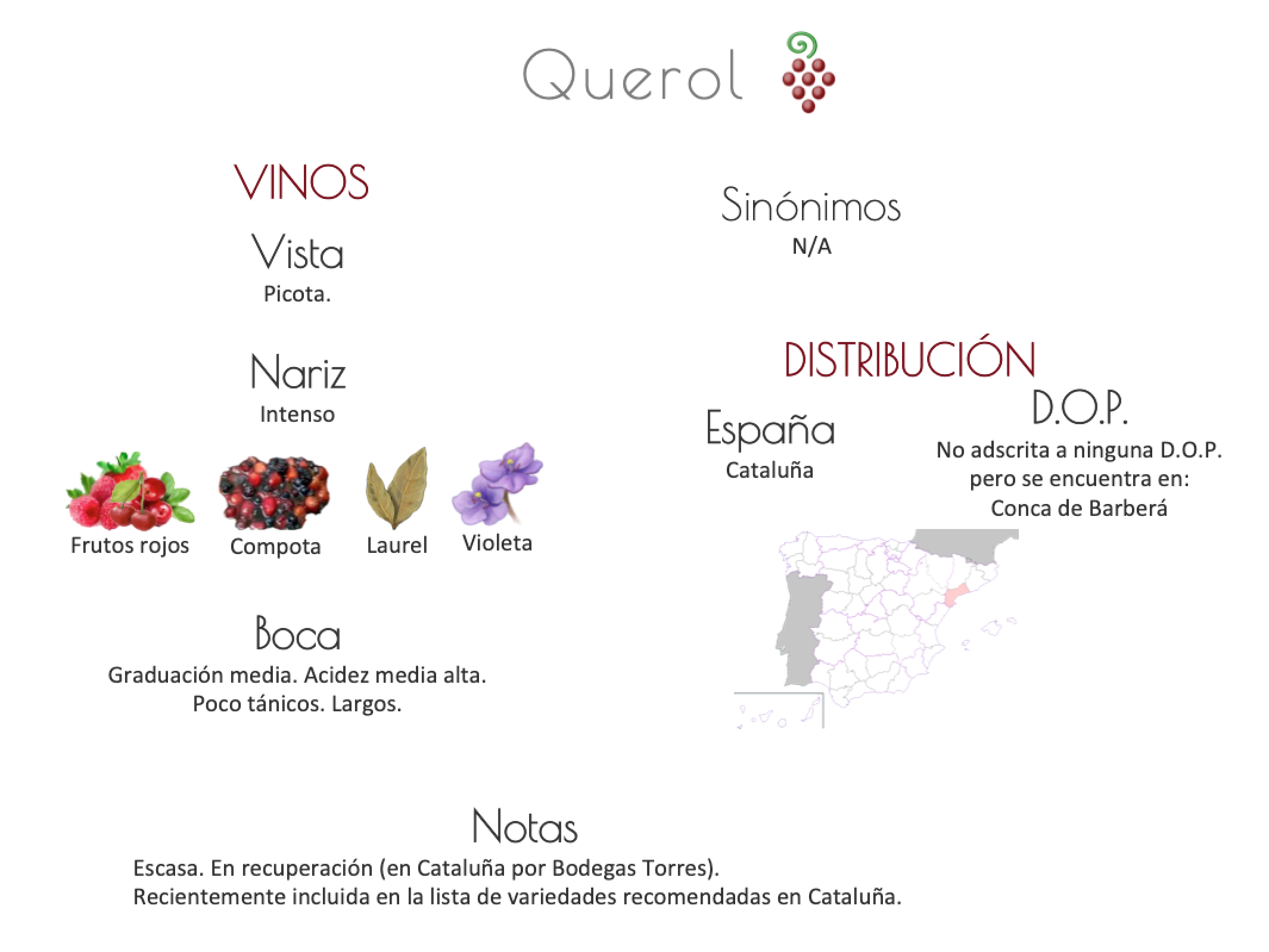Sinónimo de Airén