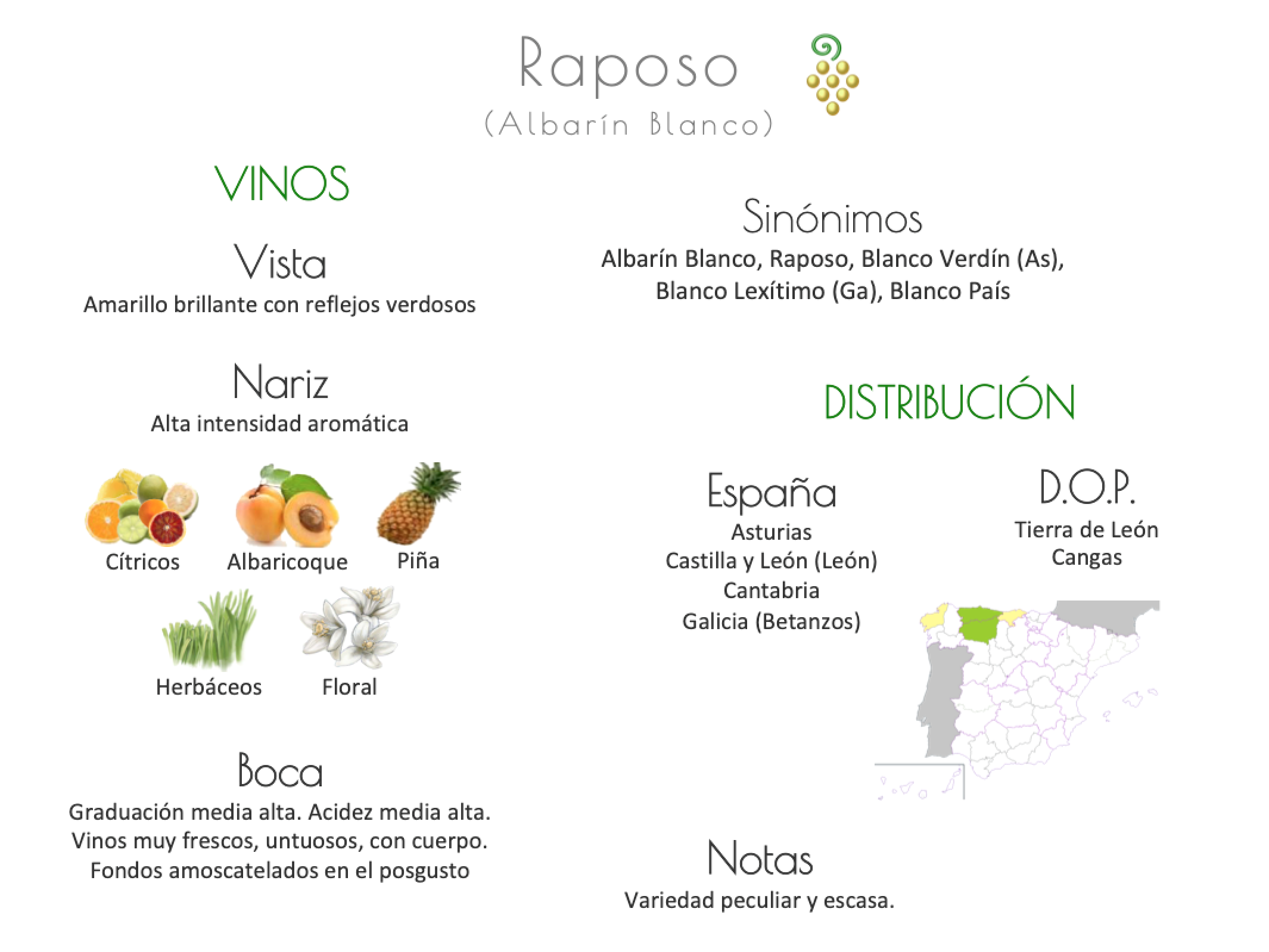 Sinónimo de Airén