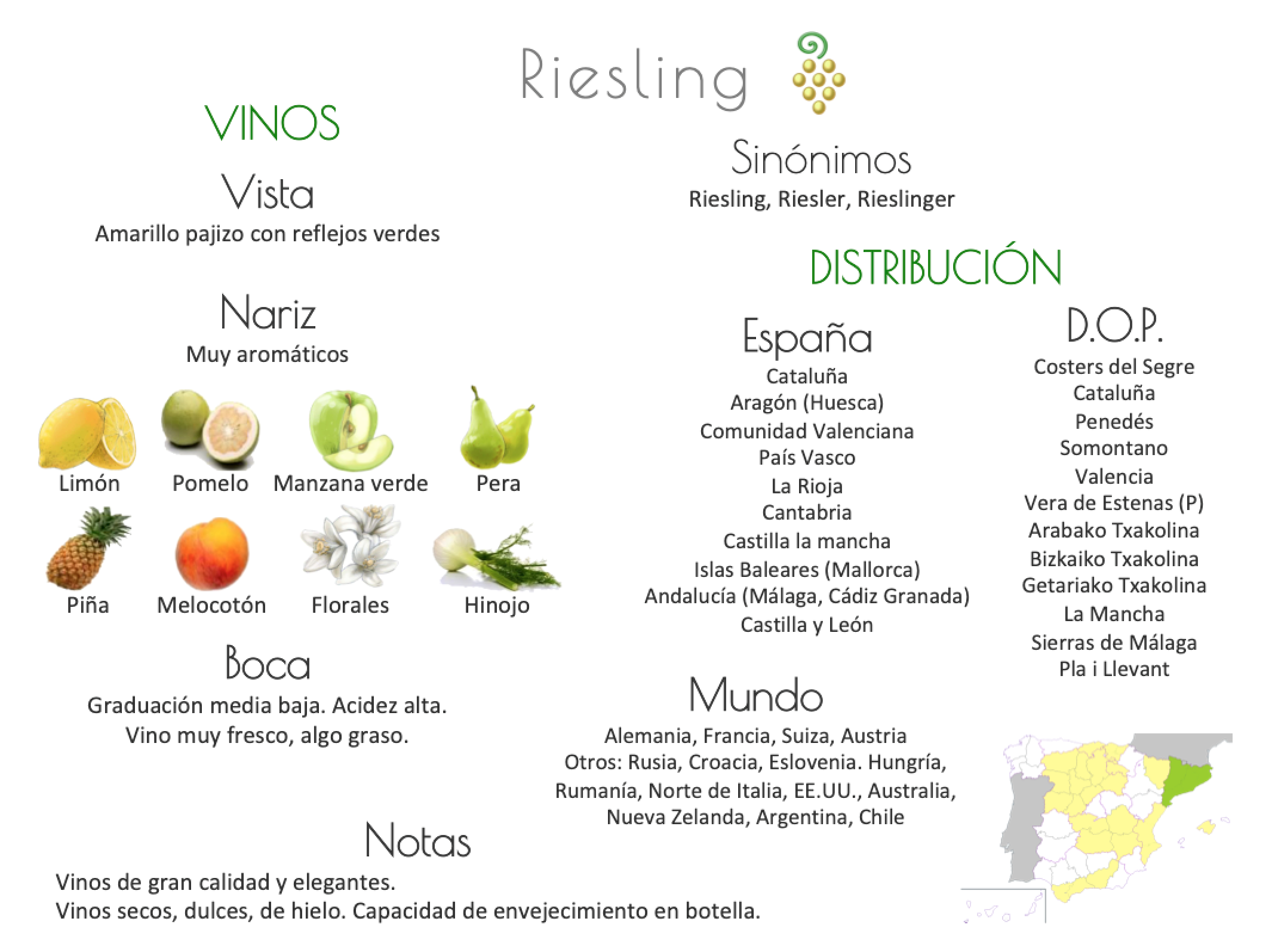 Sinónimo de Airén