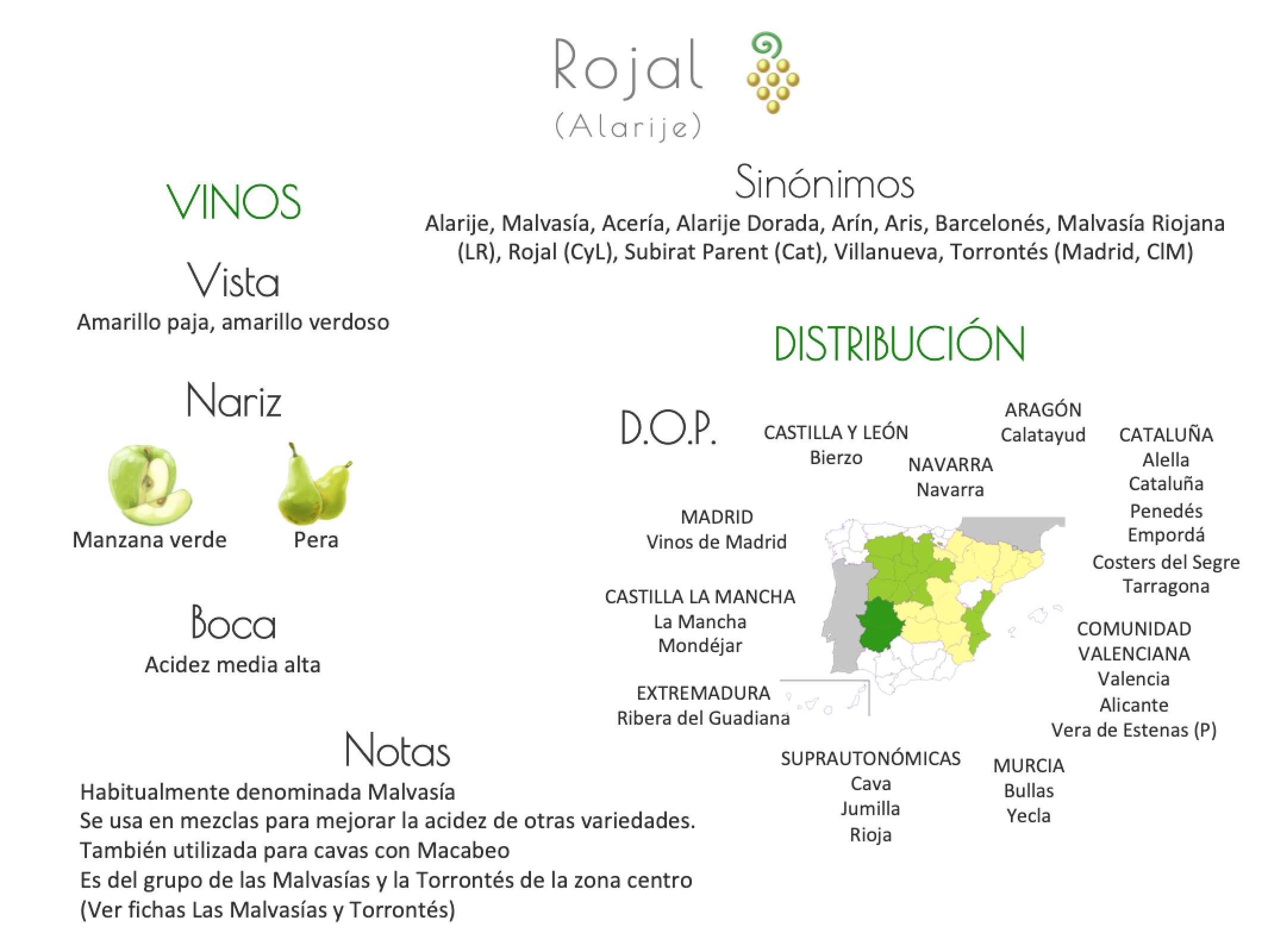 Sinónimo de Airén