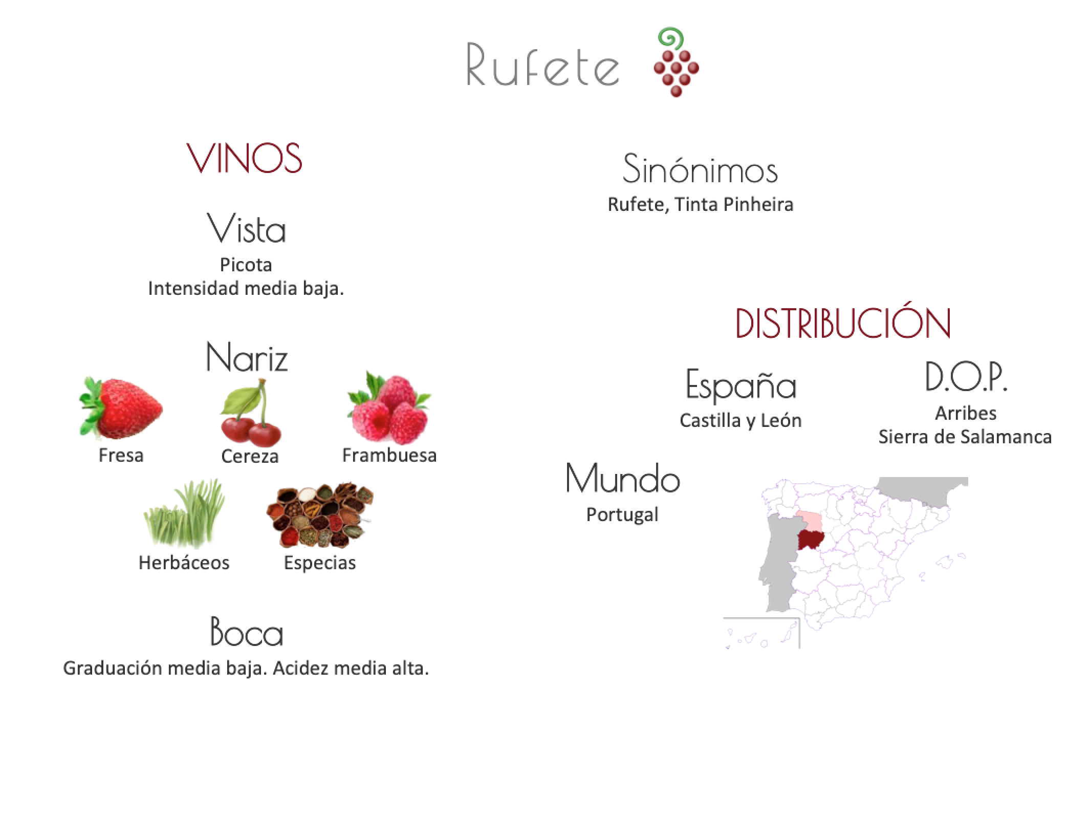 Sinónimo de Airén