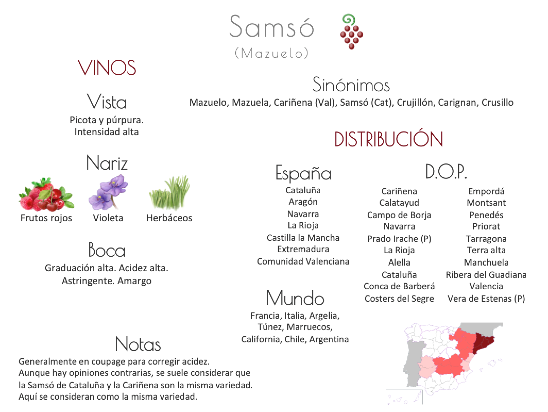 Sinónimo de Airén