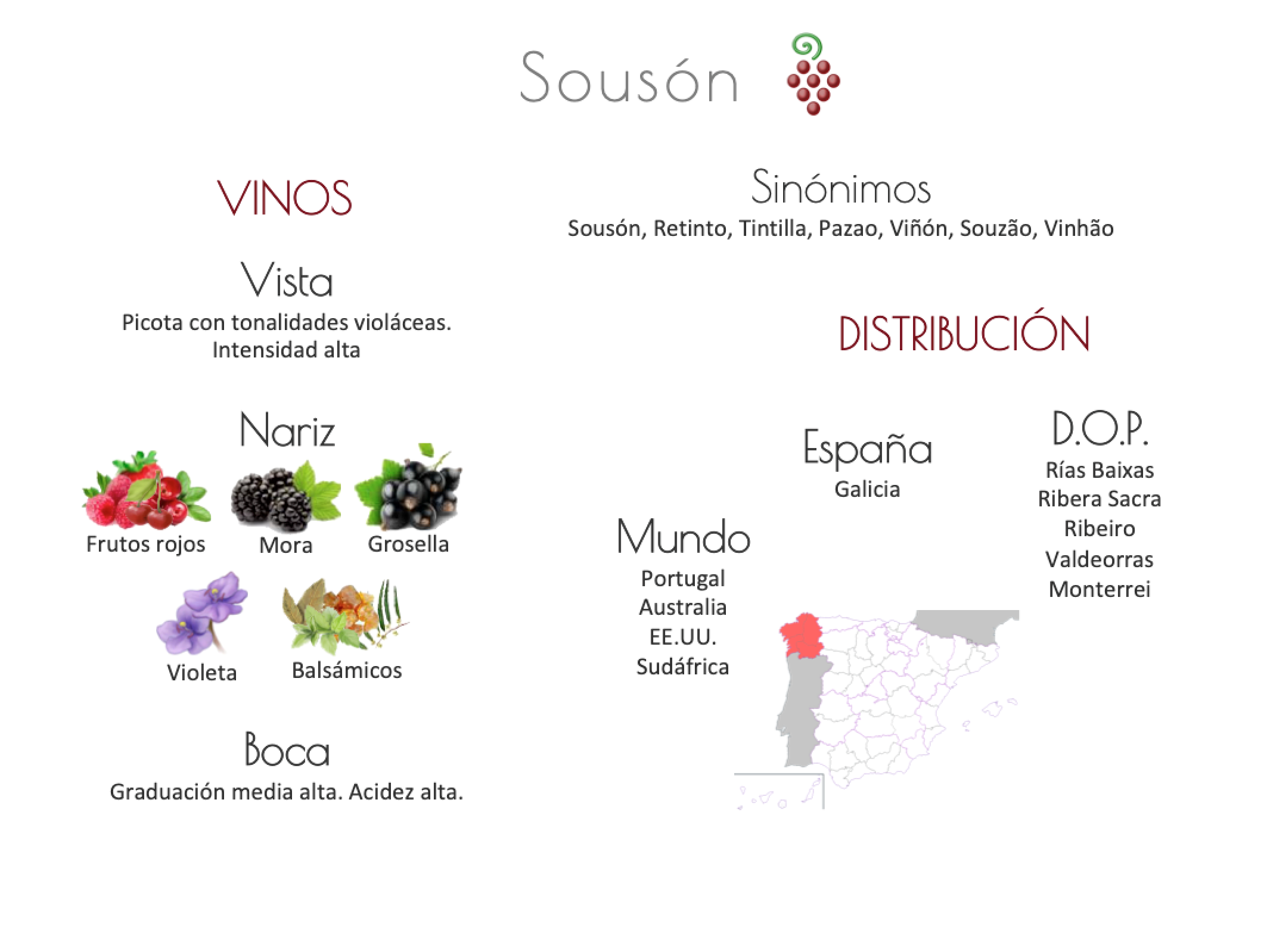 Sinónimo de Airén