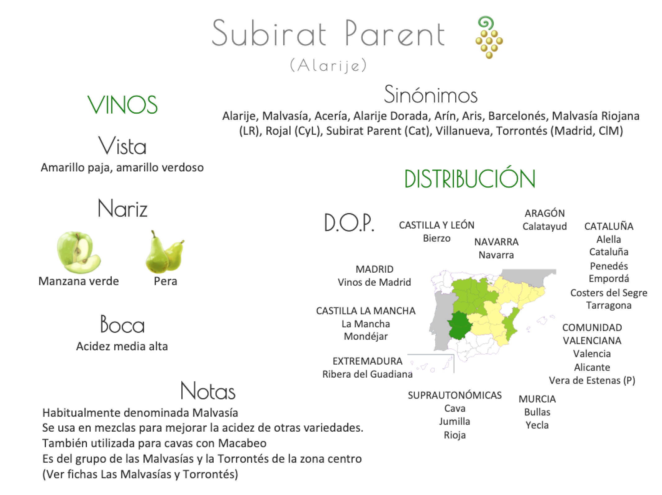 Sinónimo de Airén