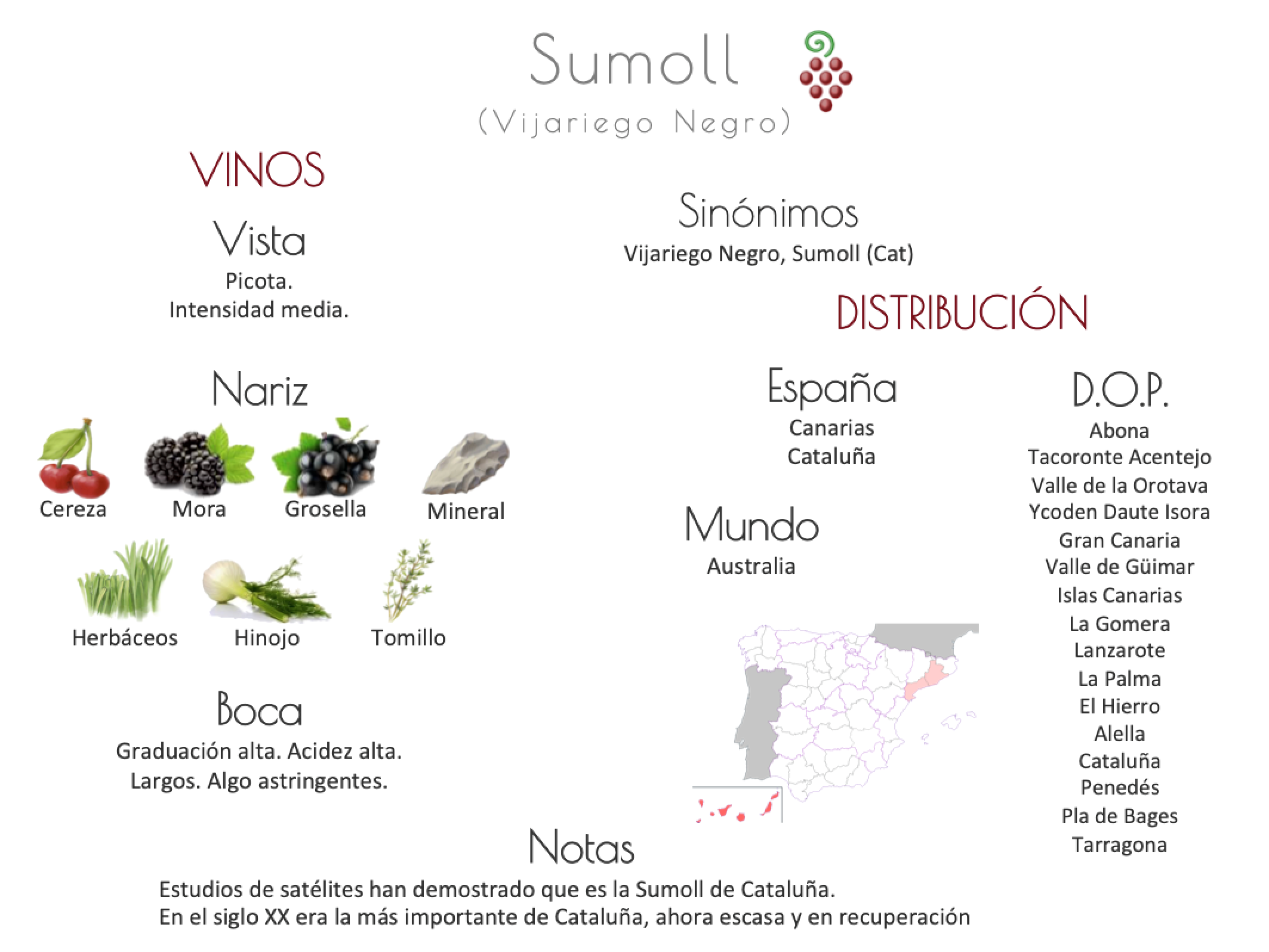 Sinónimo de Airén