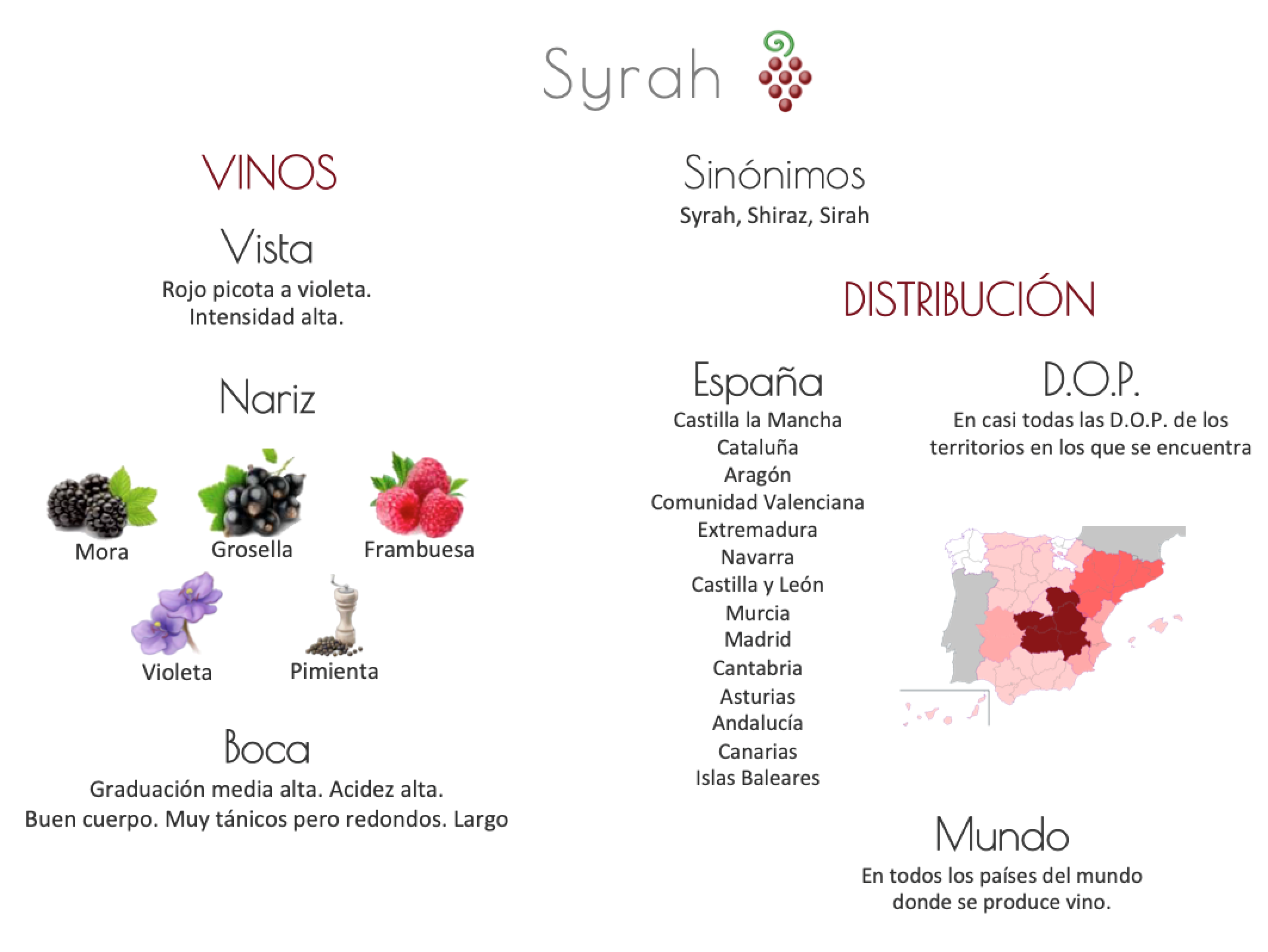 Sinónimo de Airén