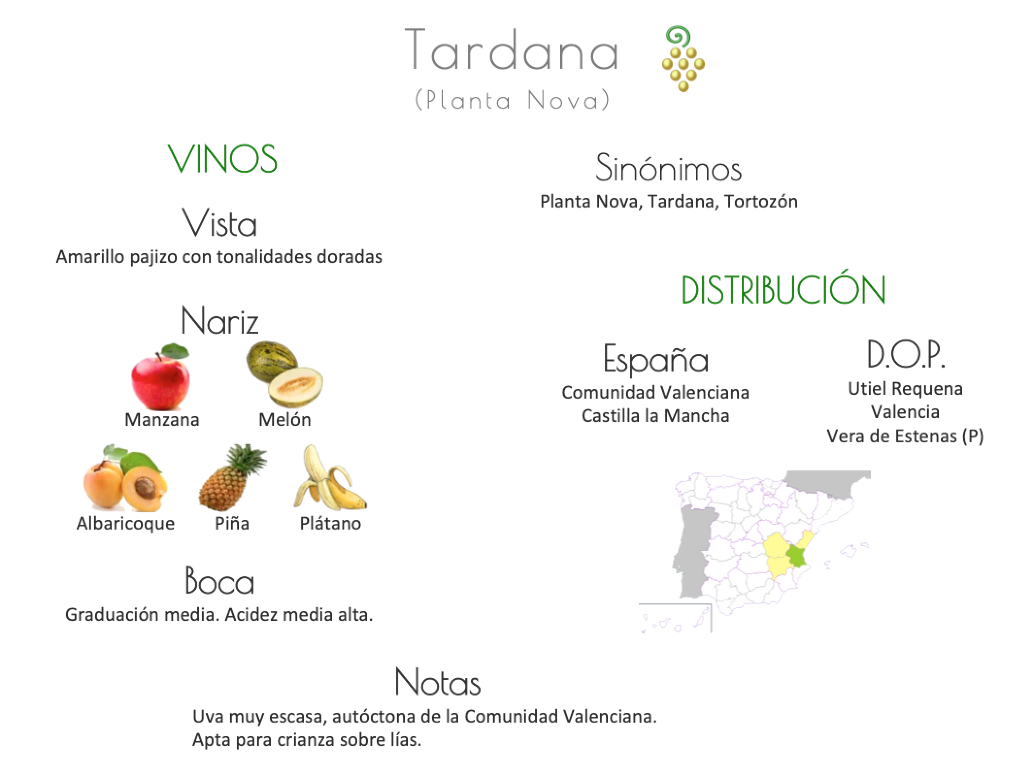 Sinónimo de Airén
