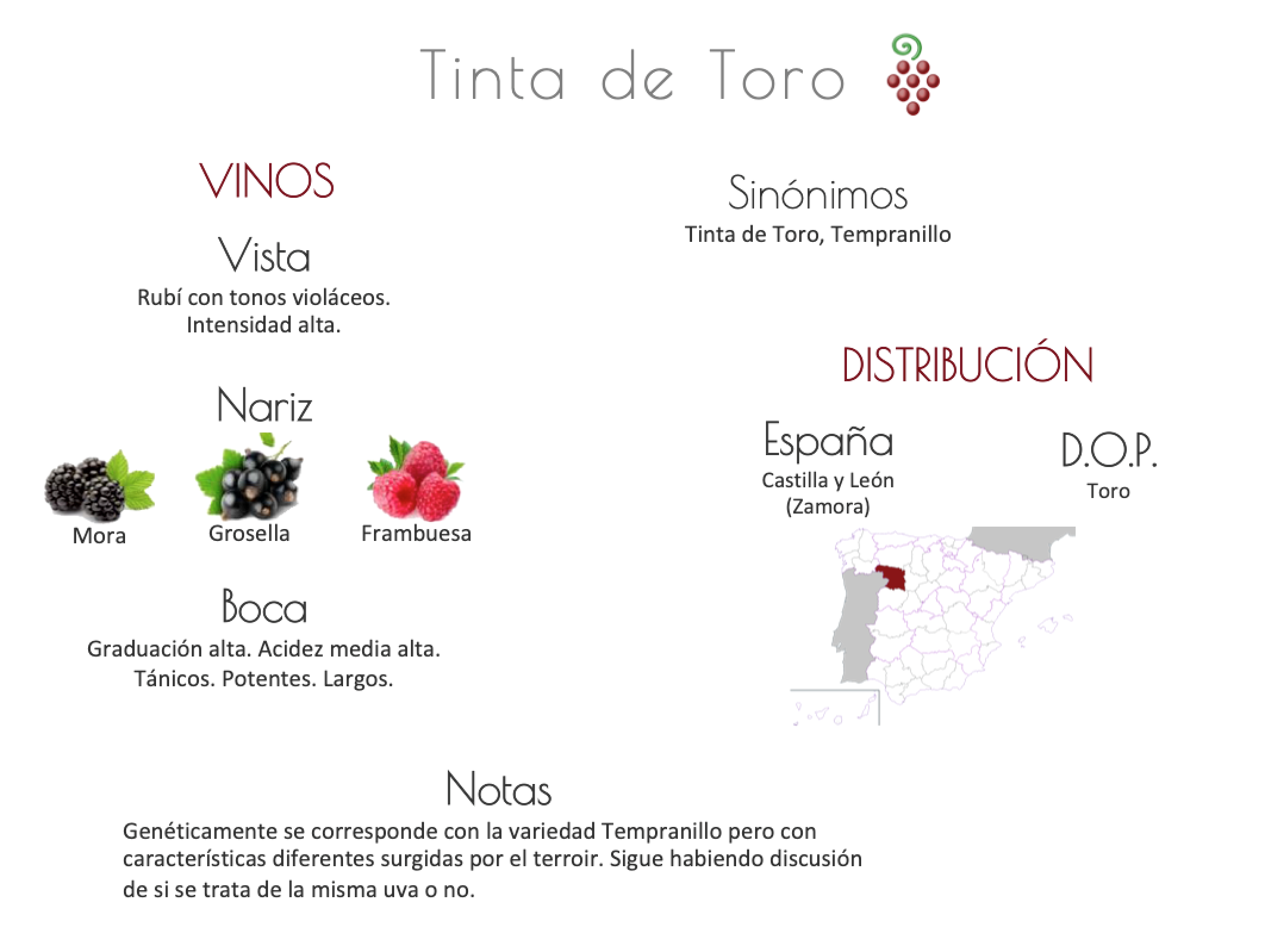 Sinónimo de Airén