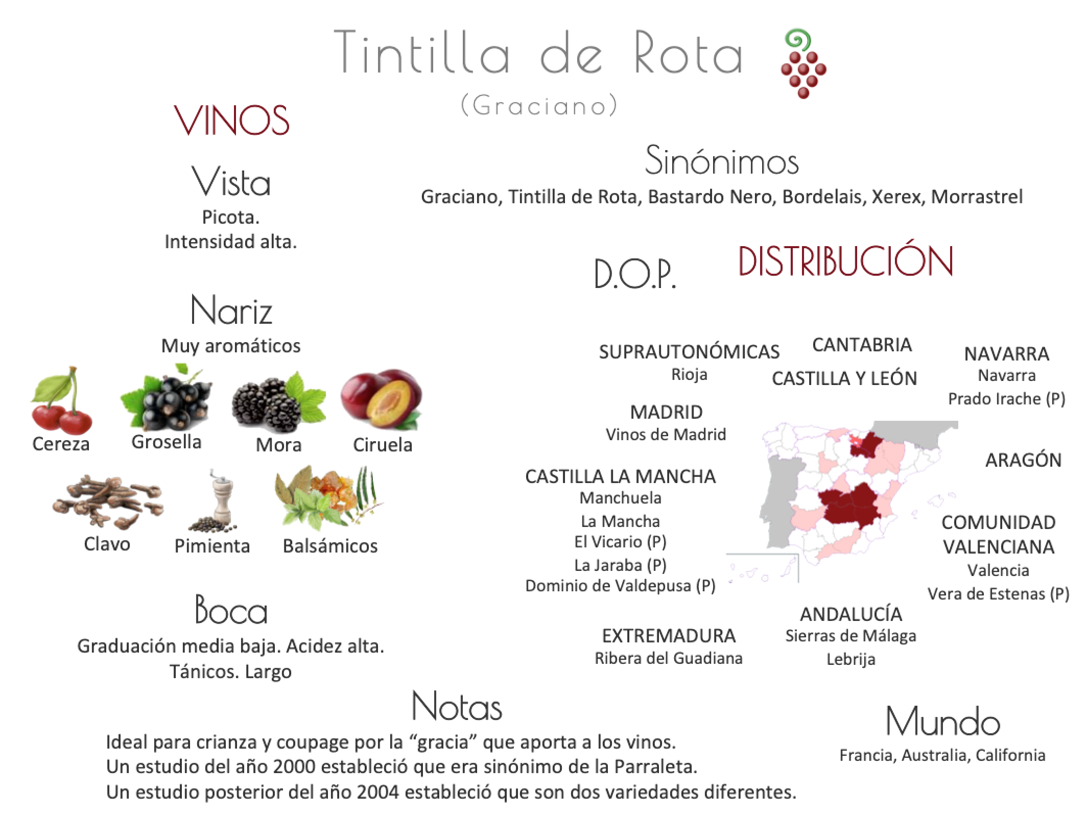 Sinónimo de Airén