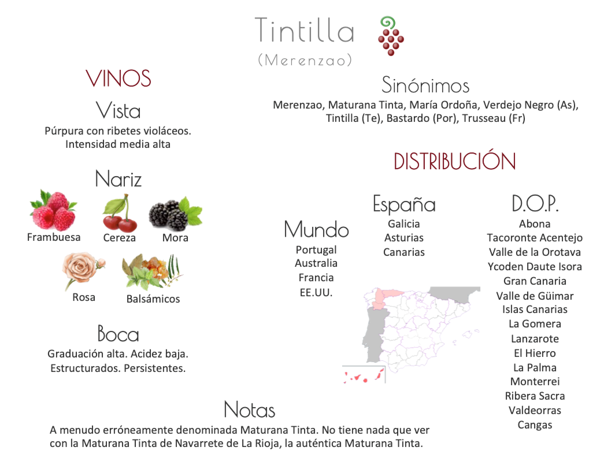 Sinónimo de Airén