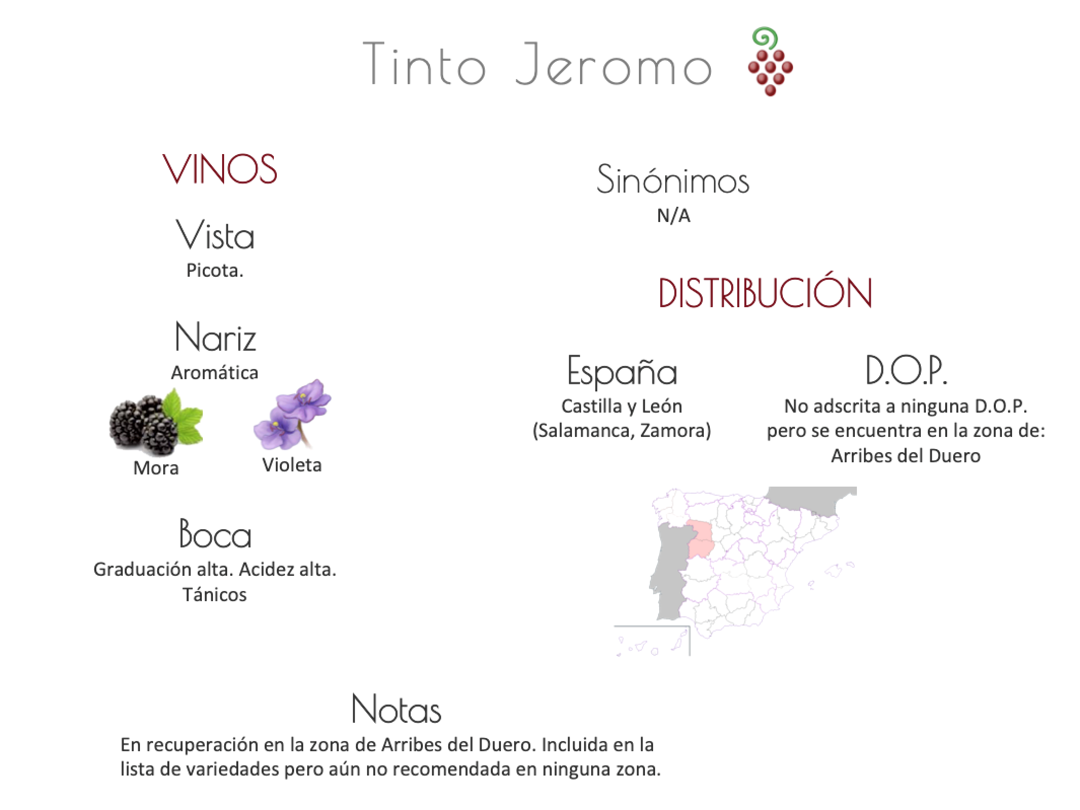 Sinónimo de Airén
