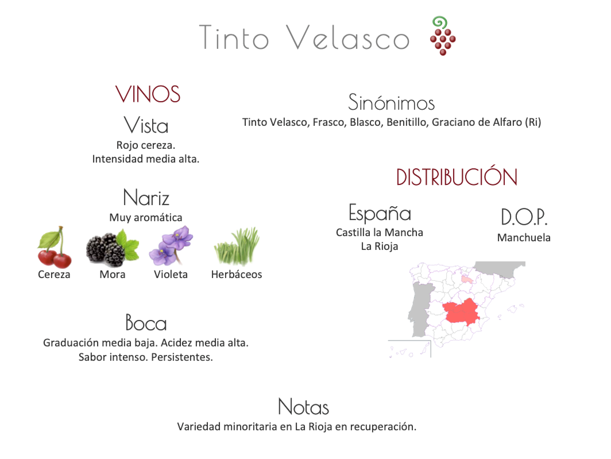 Sinónimo de Airén