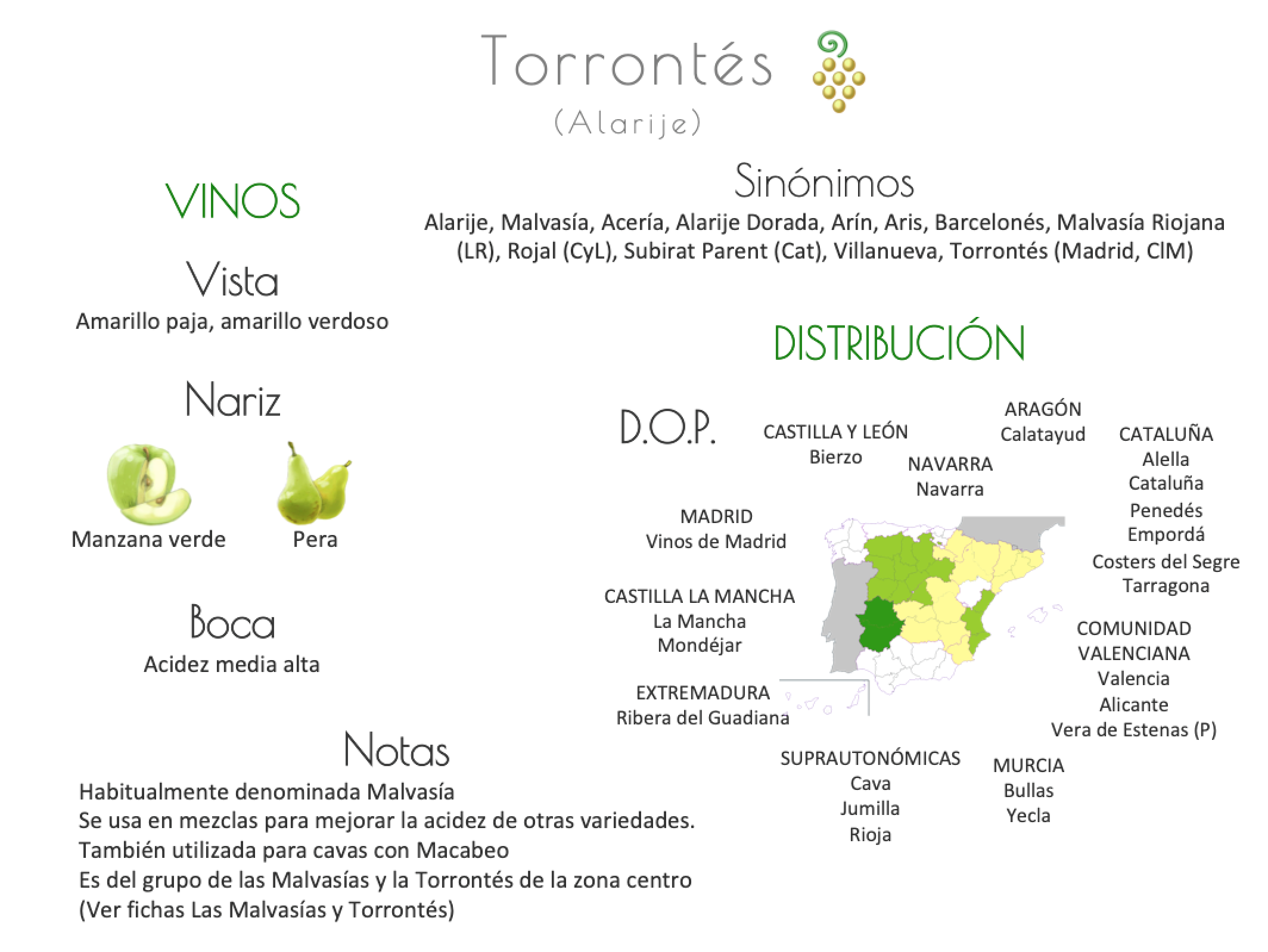 Sinónimo de Airén