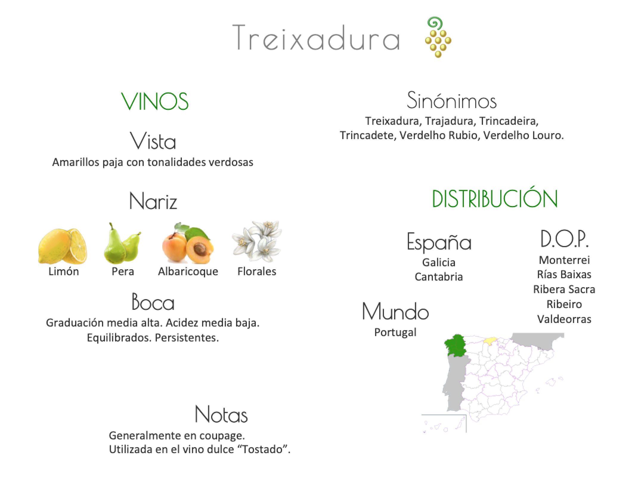 Sinónimo de Airén