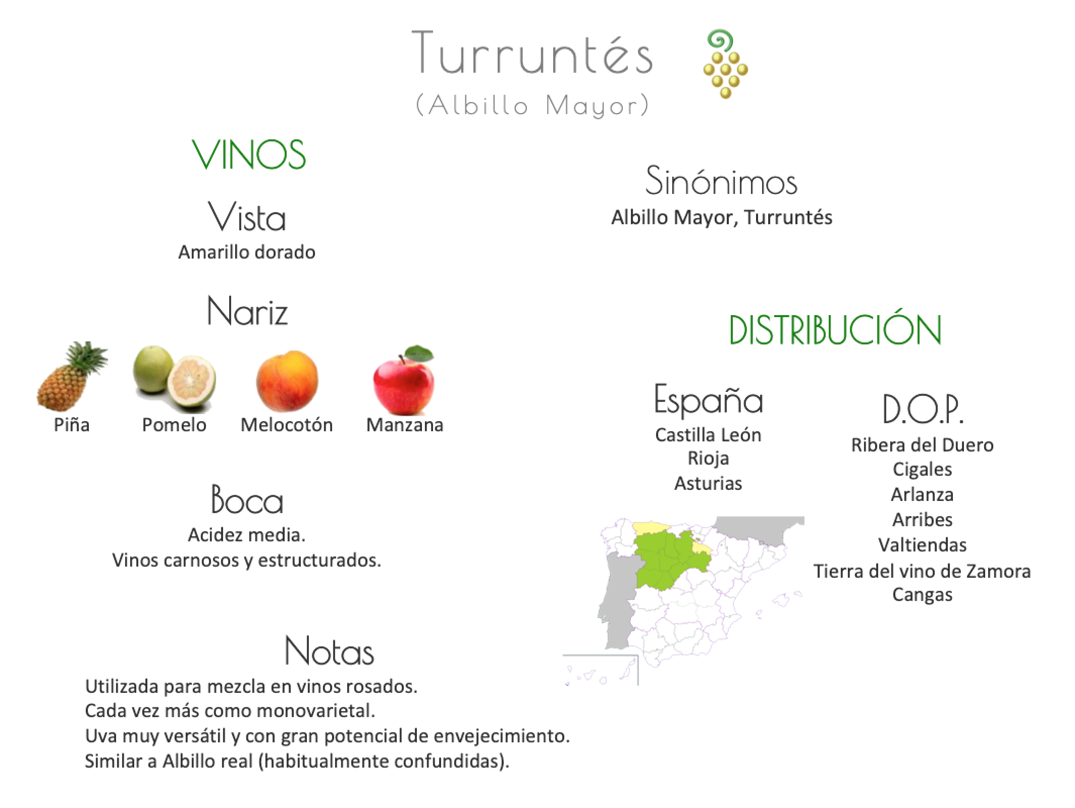 Sinónimo de Airén