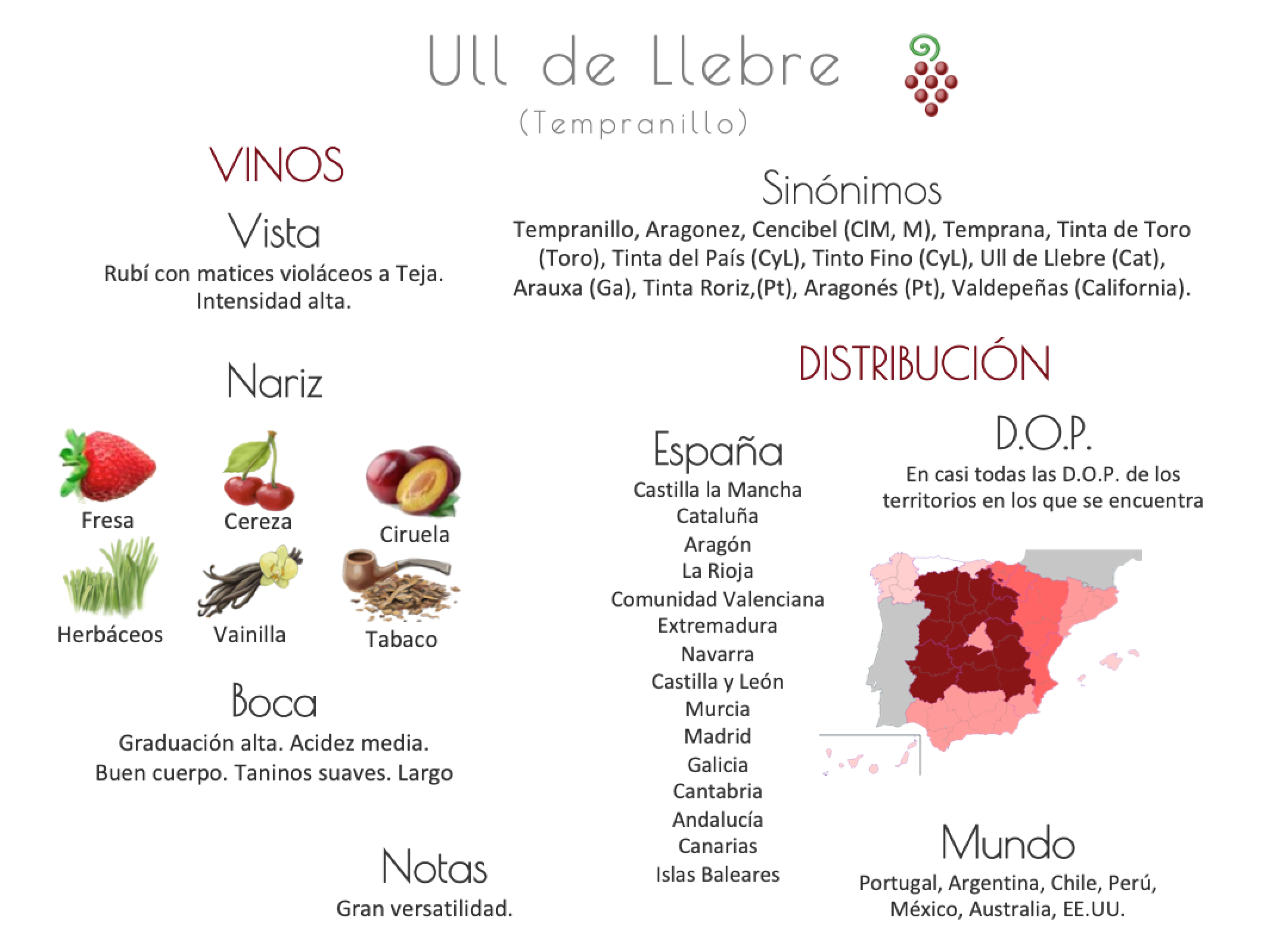 Sinónimo de Airén