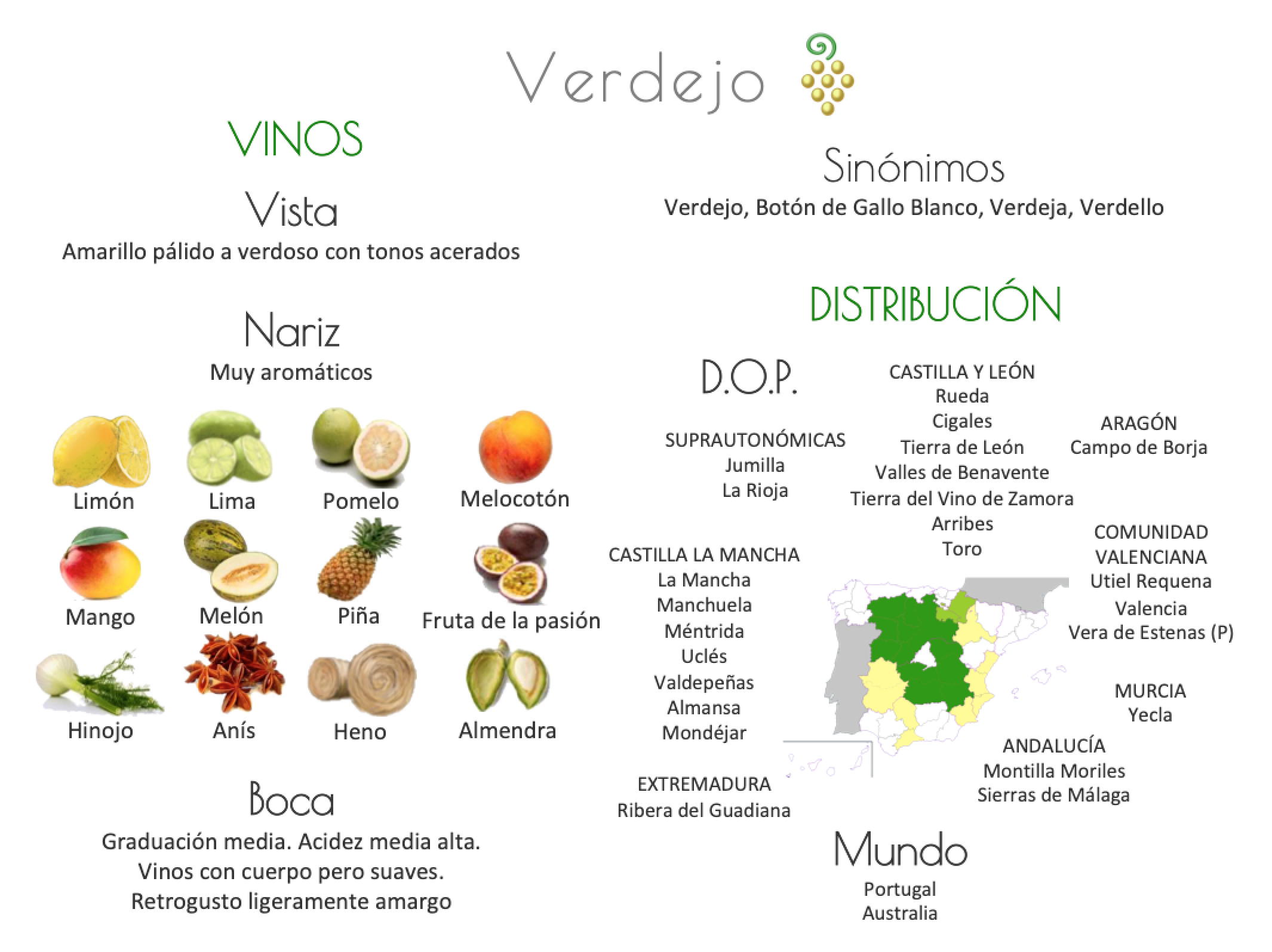 Sinónimo de Airén