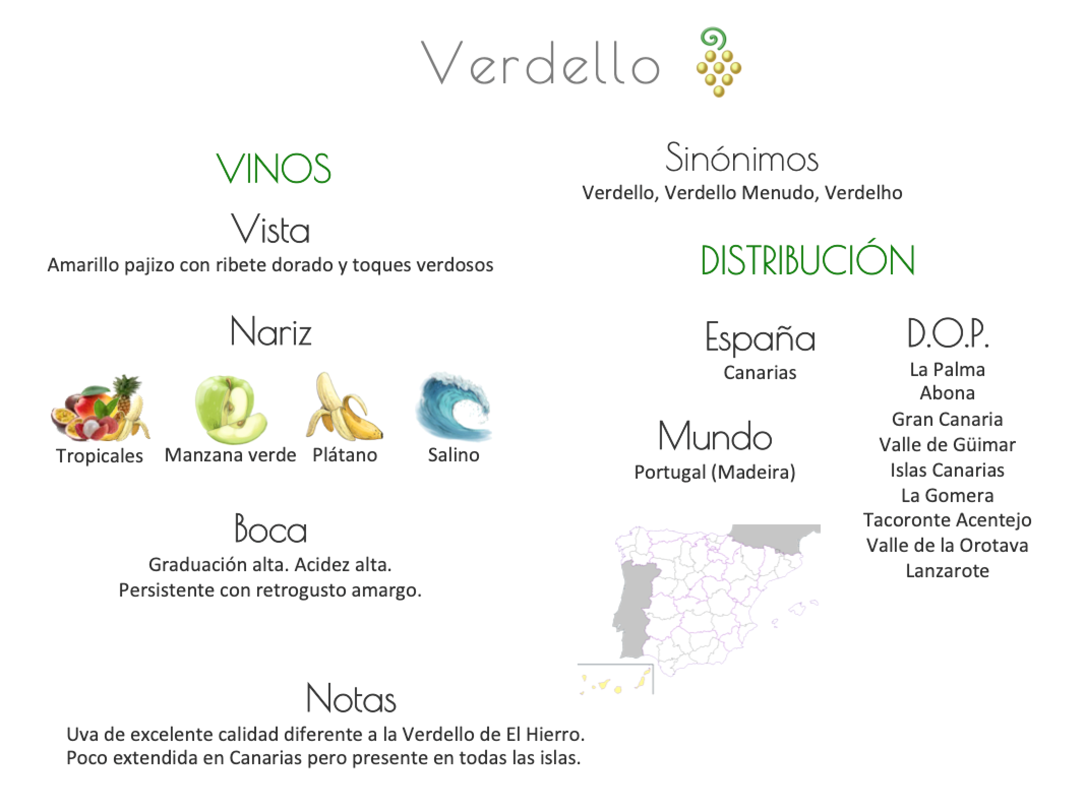 Sinónimo de Airén