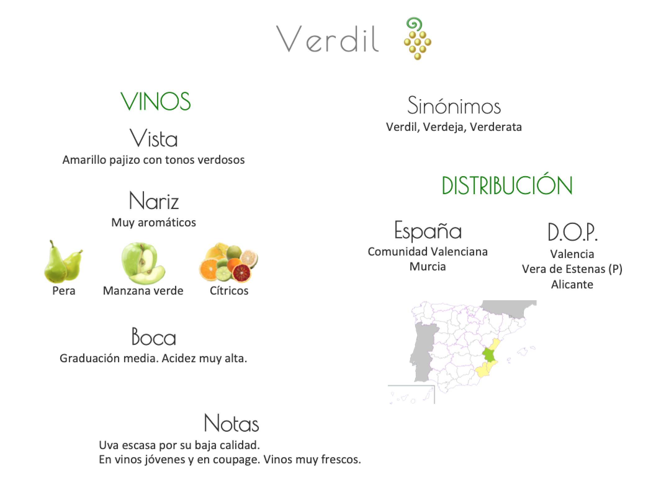 Sinónimo de Airén
