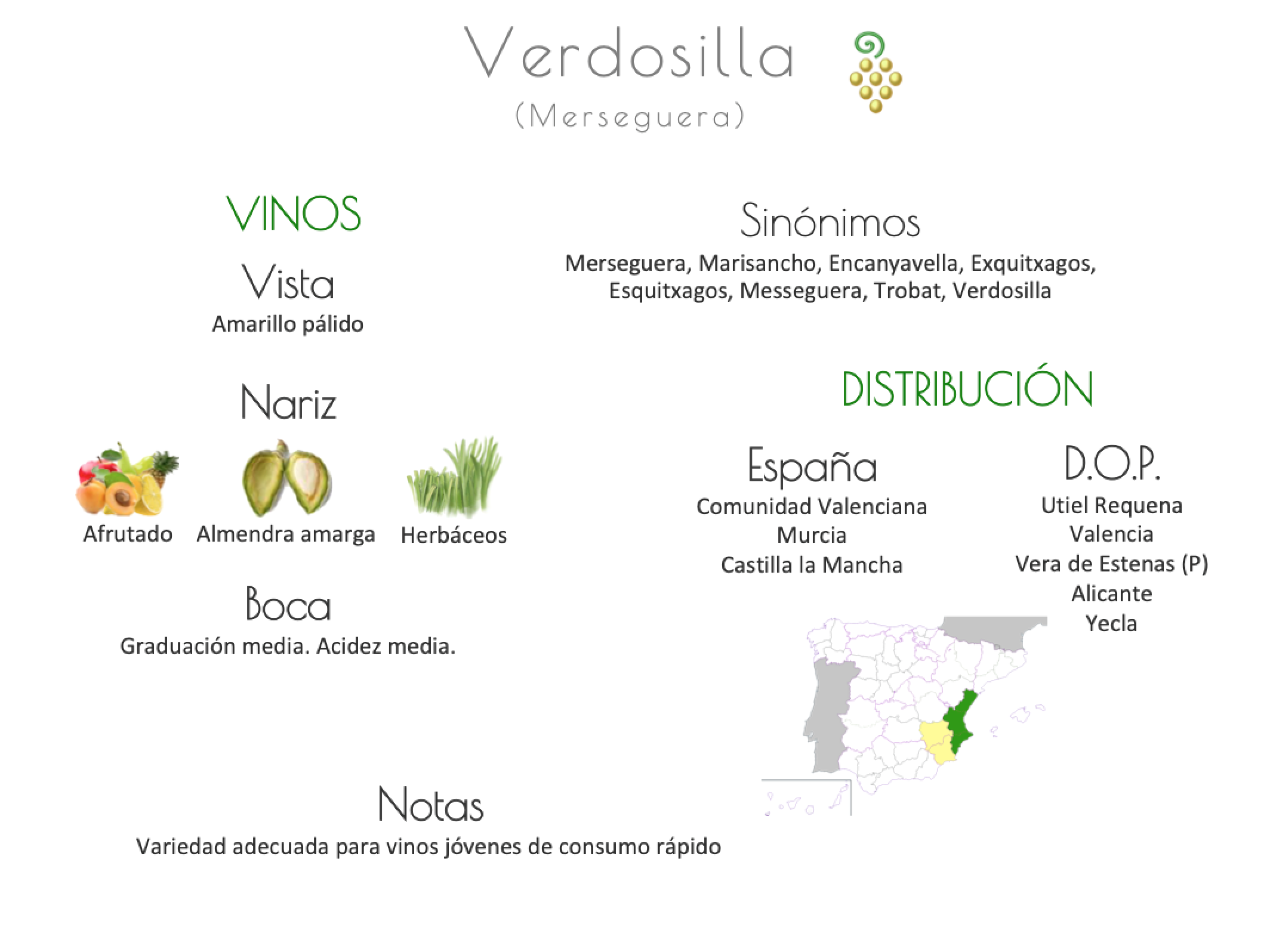 Sinónimo de Airén