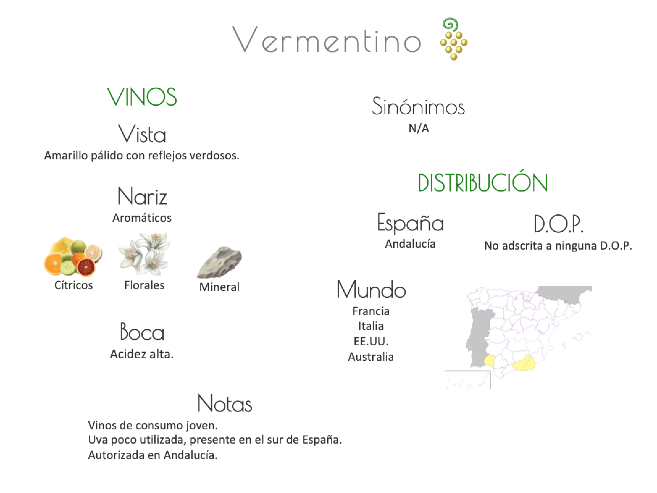 Sinónimo de Airén