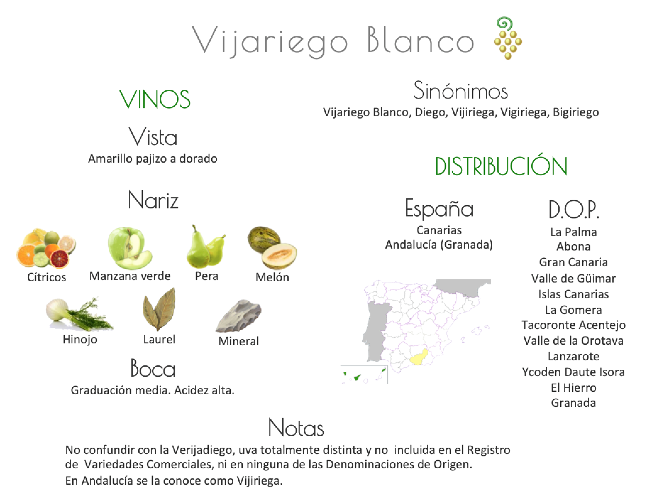 Sinónimo de Airén
