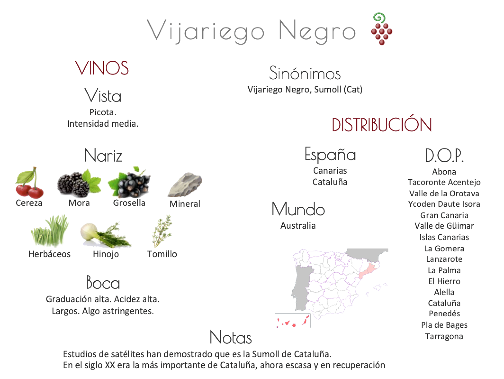Sinónimo de Airén