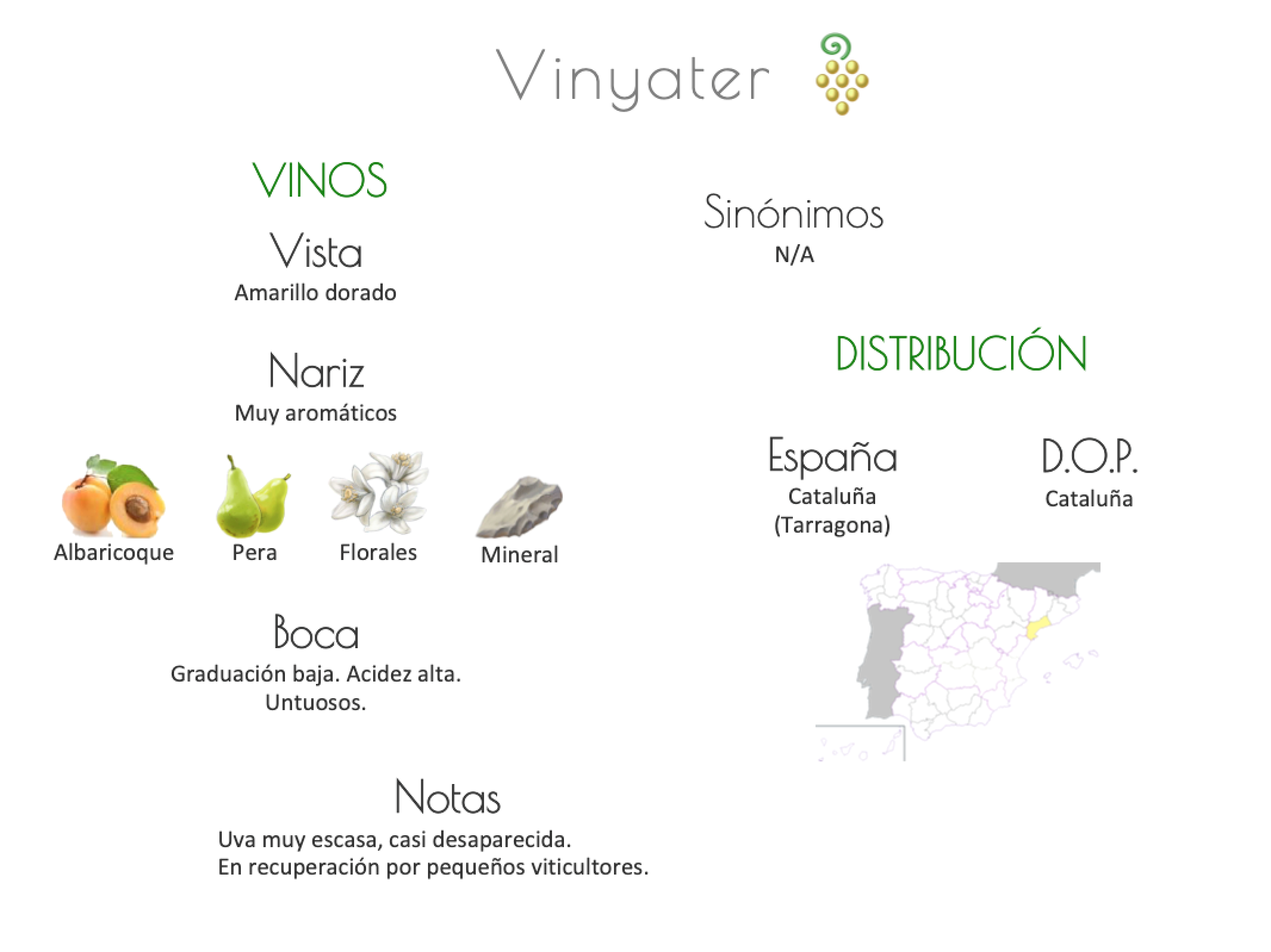 Sinónimo de Airén