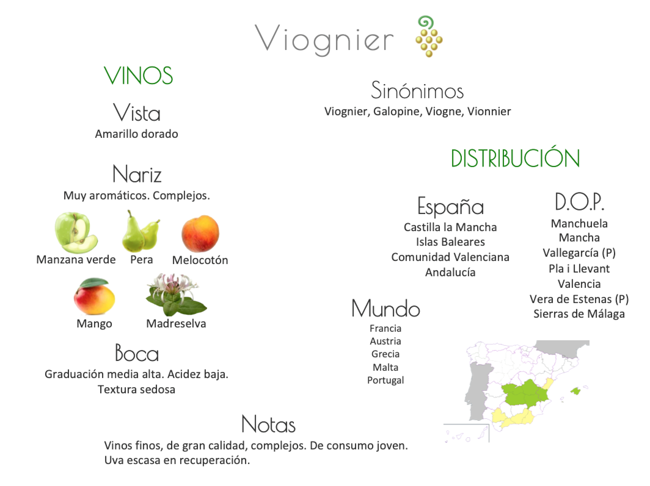 Sinónimo de Airén