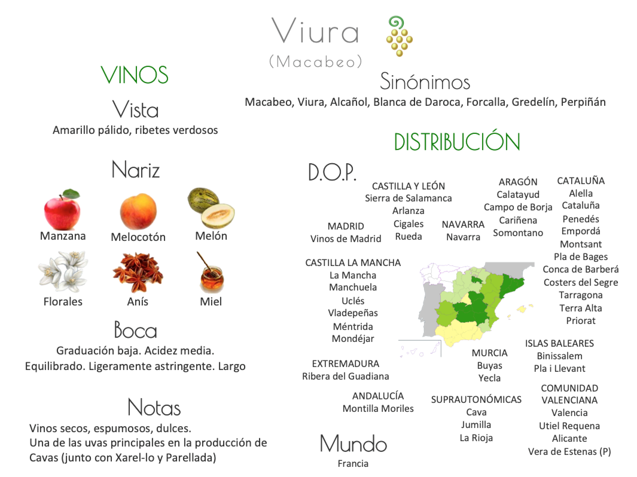 Sinónimo de Airén