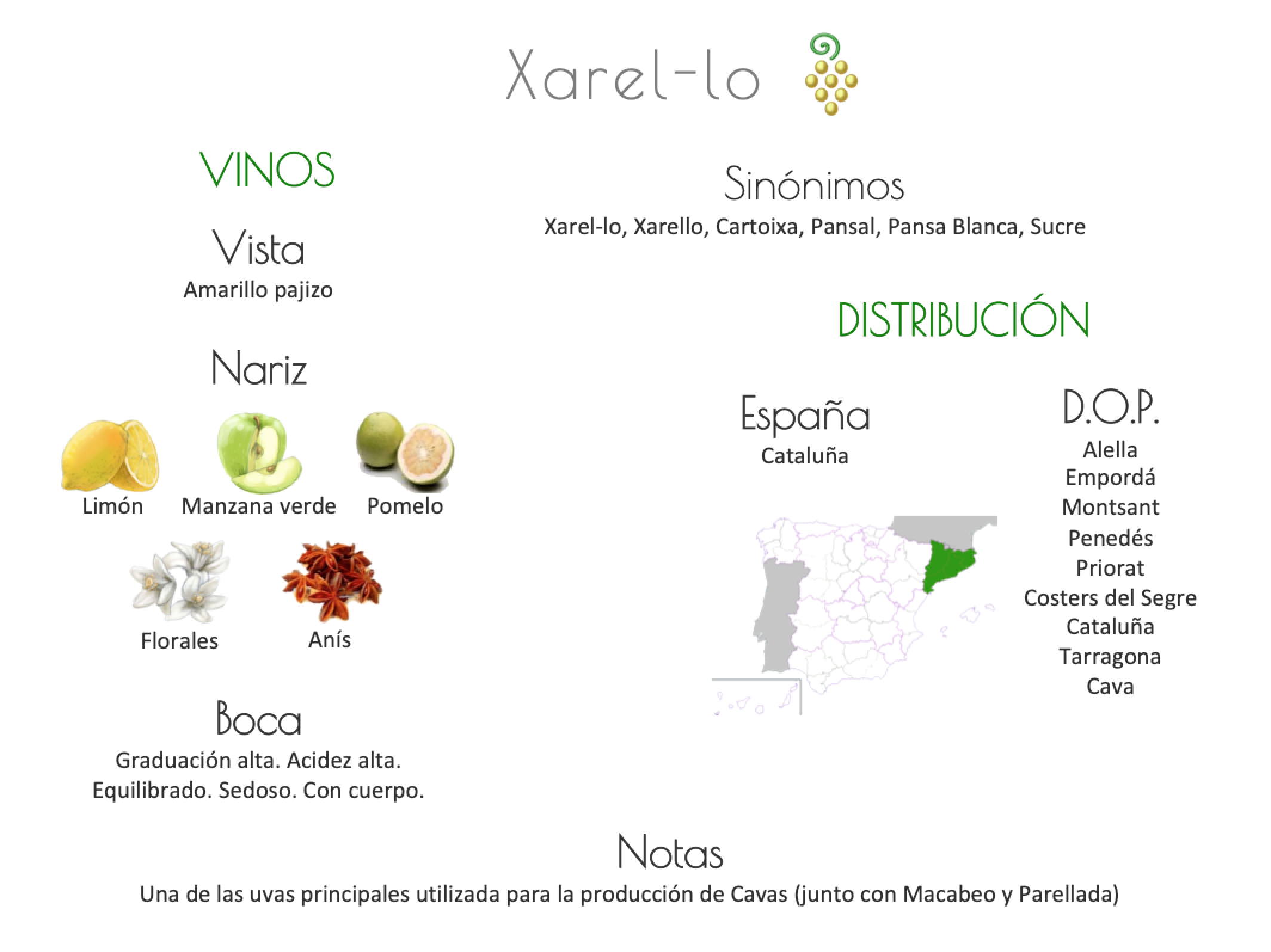 Sinónimo de Airén