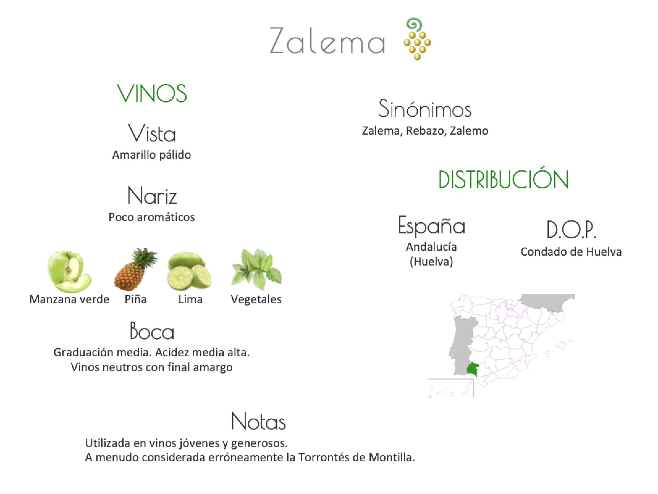Sinónimo de Airén
