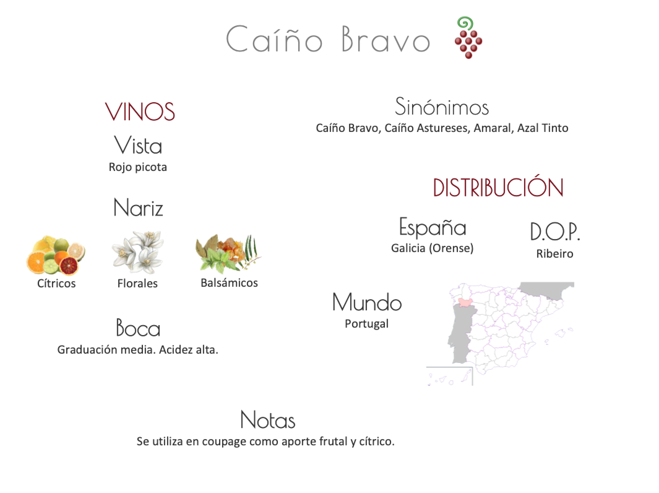 Sinónimo de Airén