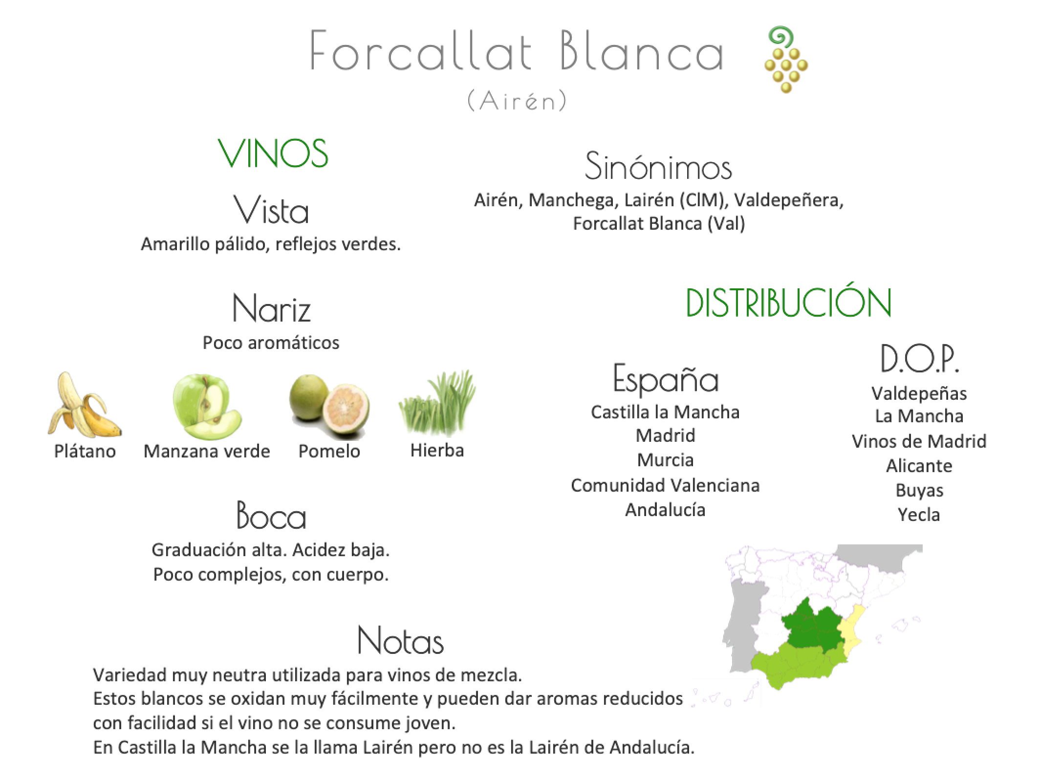 Sinónimo de Airén