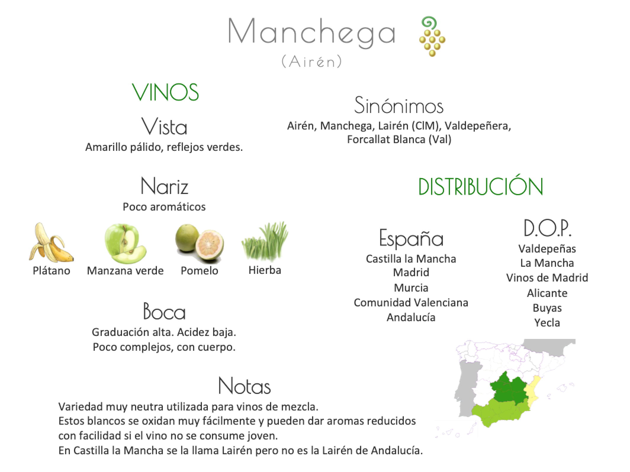 Sinónimo de Airén