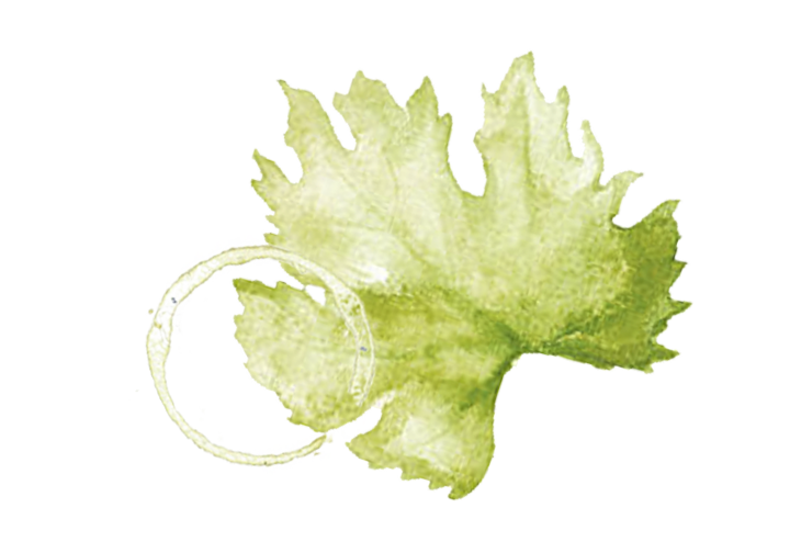 Merseguera