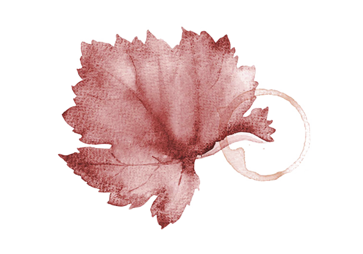 Arauxa